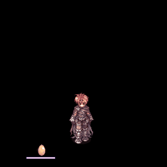 Ragnarok Online 4th Job Shadow Cross Skill Dancing Knife